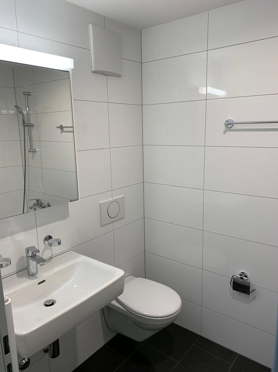 Sanierte 2.5-Zimmer-Wohnung mit schöner Aussicht 2