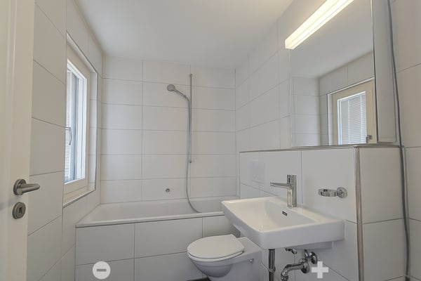 Kleine Wohnung mit grosser Terrasse 7