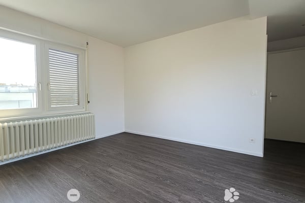 Kleine Wohnung mit grosser Terrasse 5