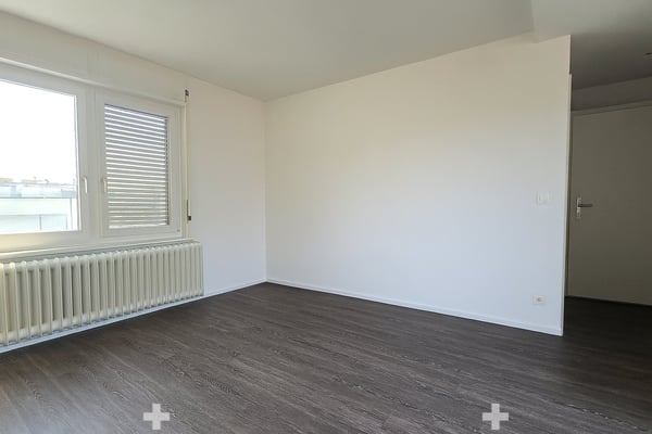 Kleine Wohnung mit grosser Terrasse 5