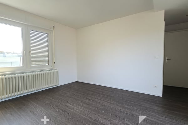 Kleine Wohnung mit grosser Terrasse 5