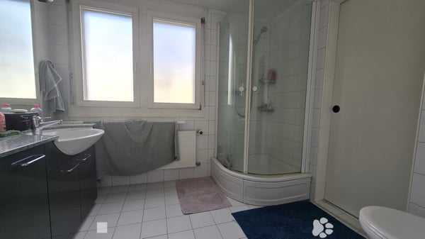 Charmante 5.5-Zimmer-Duplex-Wohnung in Biel / Neue Parkettböden 6