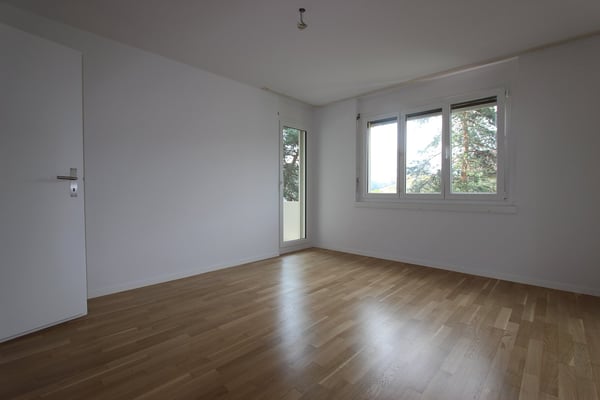 Frisch sanierte 4.5-Zimmer-Wohnung mit Balkon und Cheminée 10