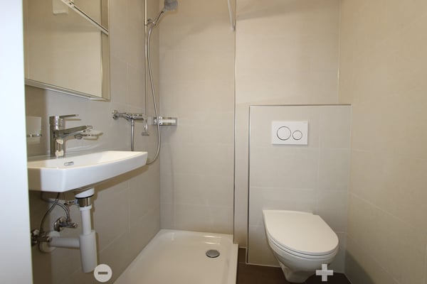Frisch sanierte 4.5-Zimmer-Wohnung mit Balkon und Cheminée 7