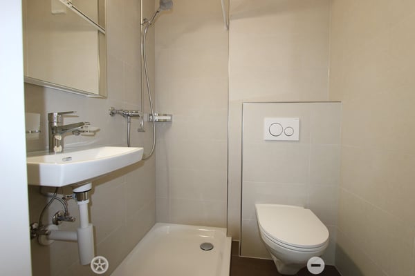 Frisch sanierte 4.5-Zimmer-Wohnung mit Balkon und Cheminée 7