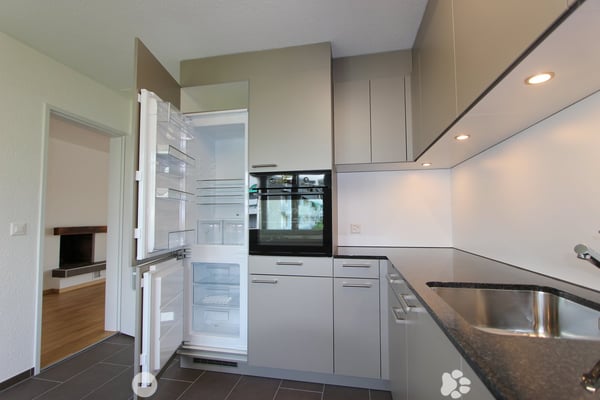 Frisch sanierte 4.5-Zimmer-Wohnung mit Balkon und Cheminée 5