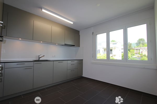 Frisch sanierte 4.5-Zimmer-Wohnung mit Balkon und Cheminée 4