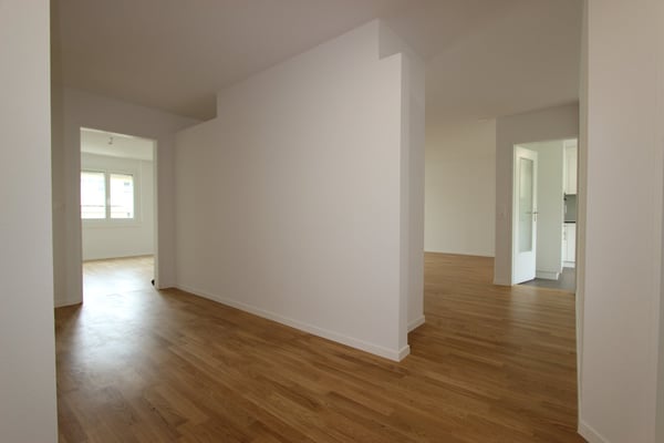Frisch sanierte 4.5-Zimmer-Wohnung mit Balkon und Cheminée 13