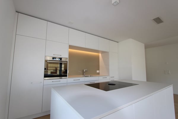Einmalige 4.5-Attika-Zimmerwohnung mit grosser Terrasse 10