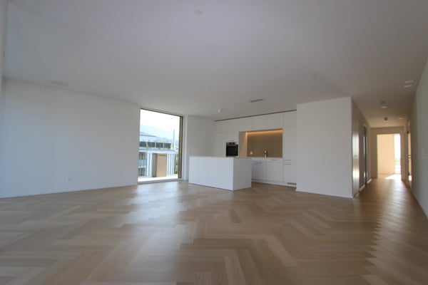 Einmalige 4.5-Attika-Zimmerwohnung mit grosser Terrasse 8