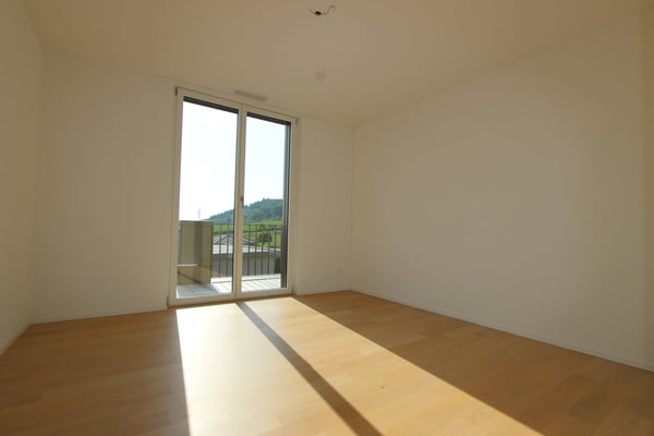 Einmalige 4.5-Attika-Zimmerwohnung mit grosser Terrasse 13