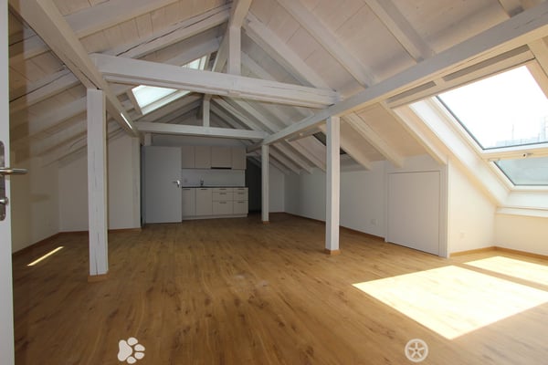 Super schöne Single-Dachwohnung mit privater Rooftop Terrasse 3