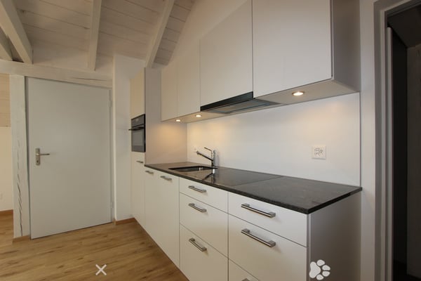 Super schöne Single-Dachwohnung mit privater Rooftop Terrasse 6
