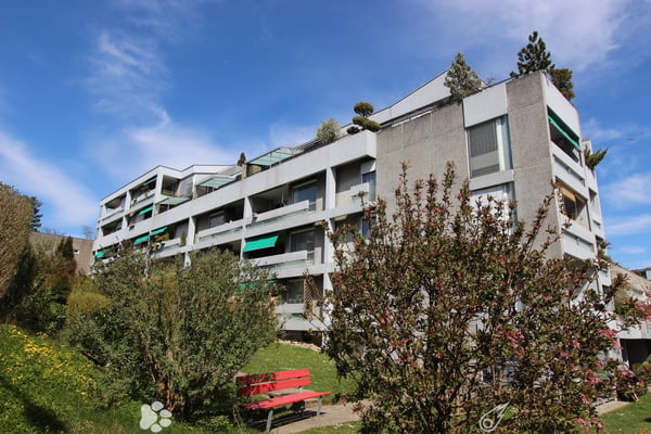 Helle 1-Zimmer-Wohnung mit Balkon und schöner Aussicht in Biel/Bienne 1