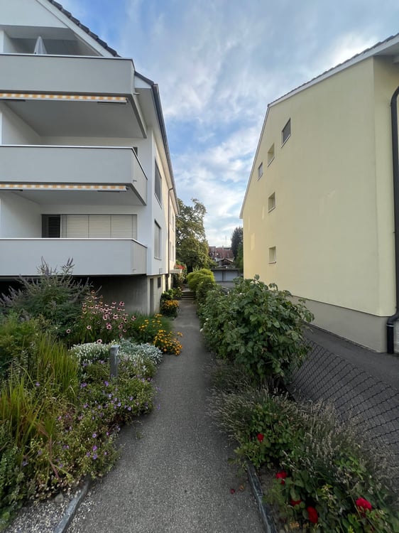 Charmante 5.5-Zimmer-Maisonette-Wohnung mit Balkon in Allschwil 3