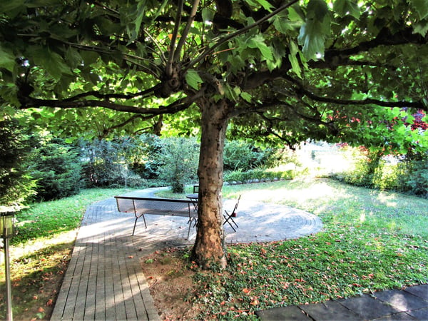 Charmante 5.5-Zimmer-Maisonette-Wohnung mit Balkon in Allschwil 4