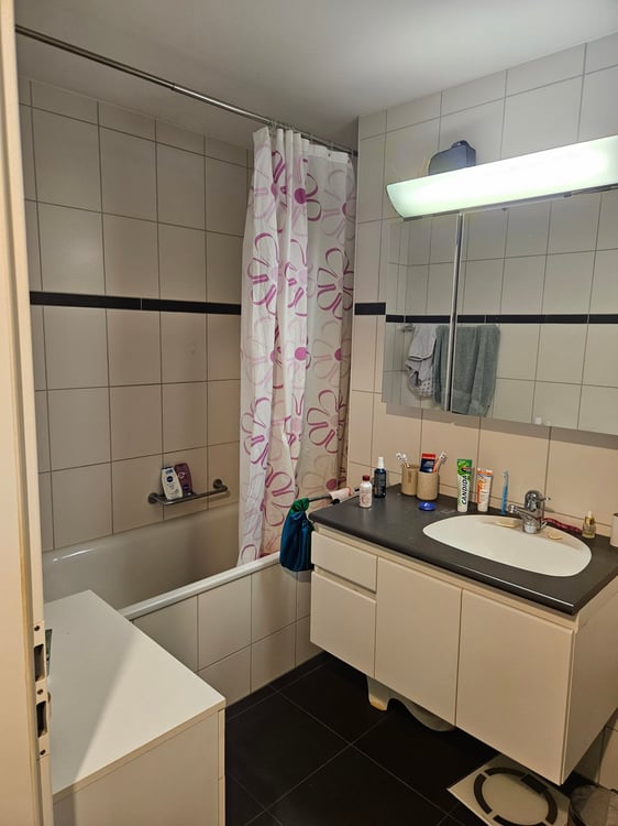 1.5-Zimmer-Duplexwohnung im Zentrum zu vermieten 9