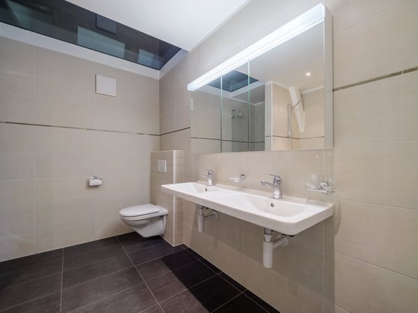 Grosse-Loft-Dach-Wohnung im Schlössli Sensebrück 6