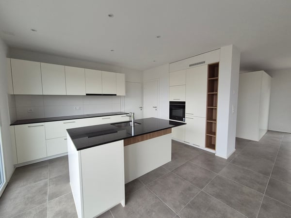 Villa neuve de 4.5 pièces à louer! 3