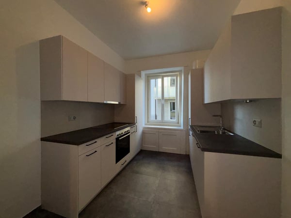 Appartement spacieux de 1.5 pièces dans un quartier calme 1