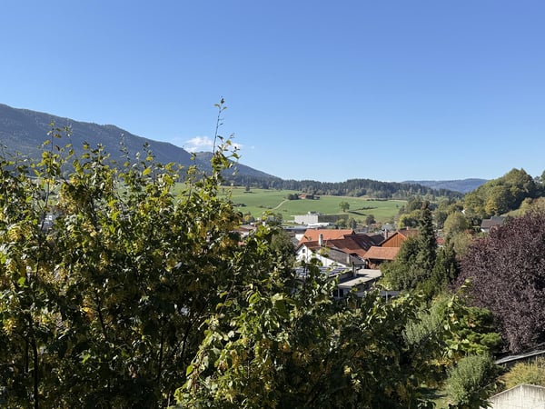 Spacieux 5.5 pièces avec balcon couvert orienté sud-ouest 9