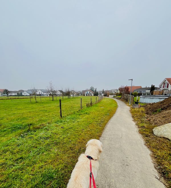 NEUBAU   Wunderschönes Eigenheim ab sofort bereit für den Erstbezug 31