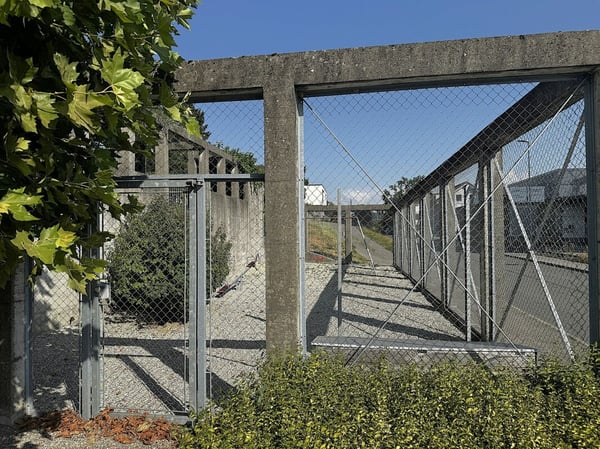 Zeitlose Architektur trifft auf überraschende Wohnqualität 26