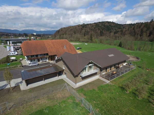 Möbliertes Studio 2