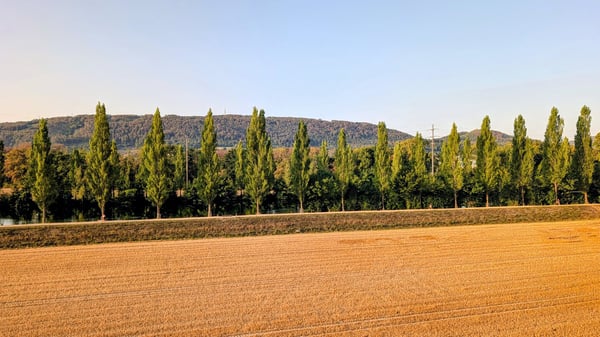 RESERVIERT / Grosszügig, hell, mit herrlicher Aussicht 22