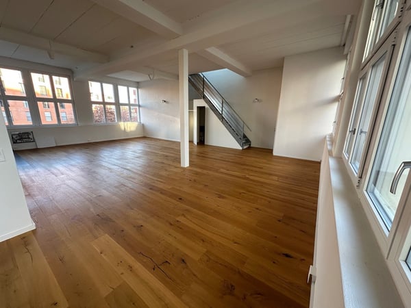 Loftwohnung mit Terasse zu vermieten 6