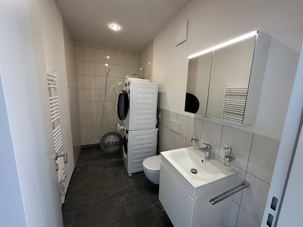 Loftwohnung mit Terasse zu vermieten 5