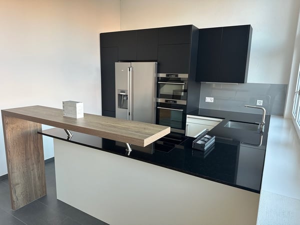 Loftwohnung mit Terasse zu vermieten 3