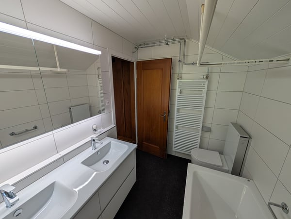 Charmante 2.5-Zimmer-Dachwohnung mit traumhaftem See- und Bergblick 10