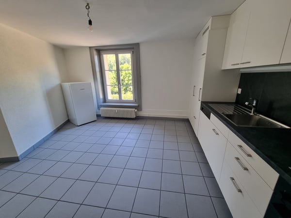 Spacieux appartement rénové 1