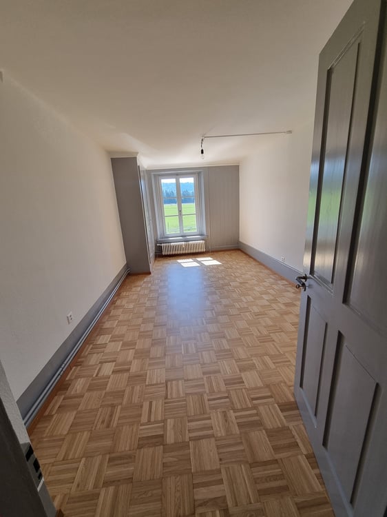 Spacieux appartement rénové 7