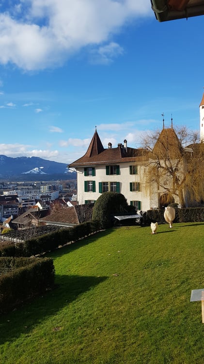 Einzigartige Gelegenheit! Wohnen auf dem Schlossberg Thun 1