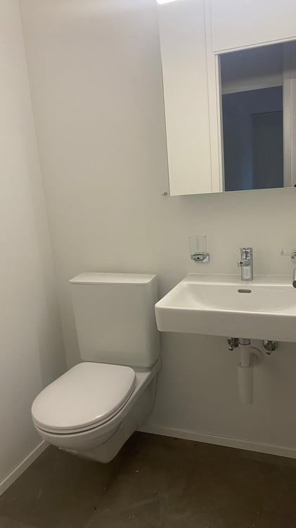 Frisch sanierte 1.5-Zimmerwohnung mit traumhafter Aussicht! 8