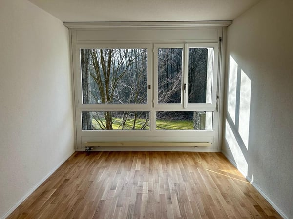 Frisch sanierte 1.5-Zimmerwohnung mit traumhafter Aussicht! 5