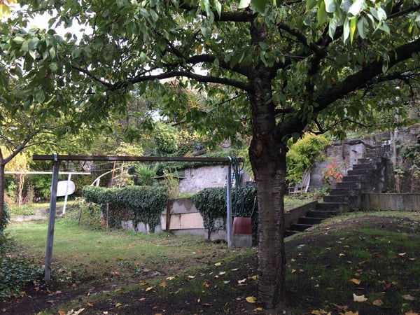 Neues Heim mit eigenem Schlossgarten gewünscht? 15