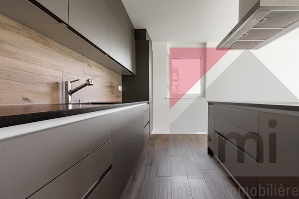 Confortable appartement rénové avec jardin sur les hauts de Vevey 3