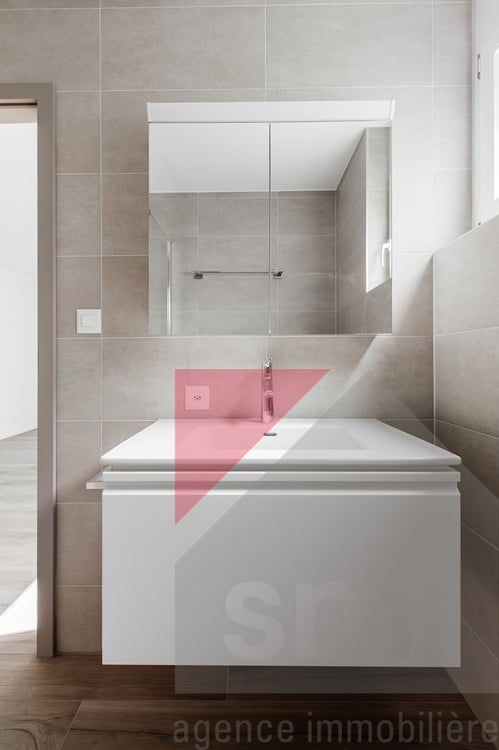 Confortable appartement rénové avec jardin sur les hauts de Vevey 11