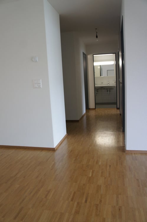 Schöne 4.5-Zimmer-Wohnung im Wohnpark Hansmatt 5