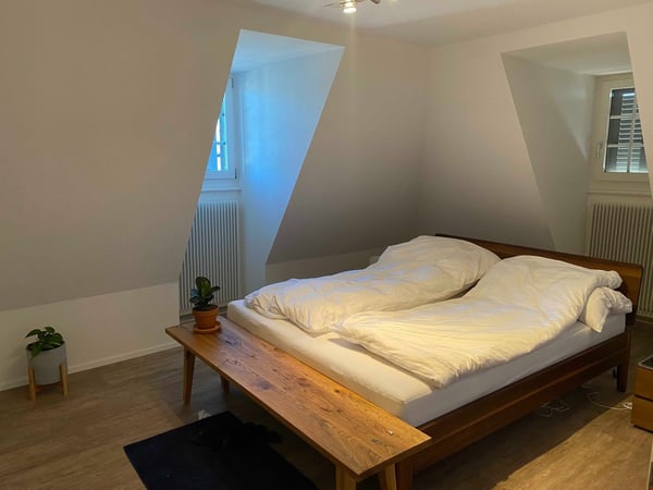 Grosse, heimelige 1.5 Zimmer Dachwohnung mit Balkon 3