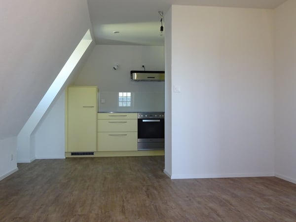 Grosse, heimelige 1.5 Zimmer Dachwohnung mit Balkon 8