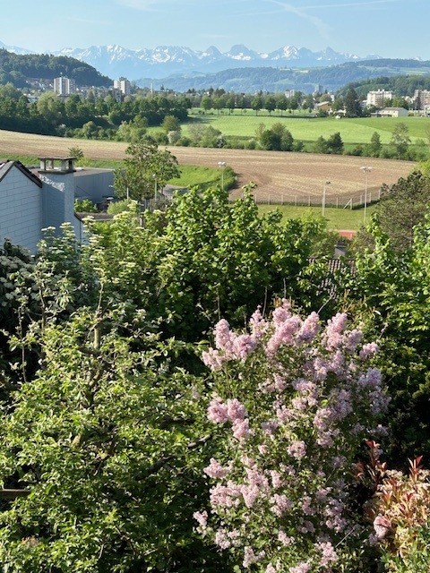 Charmantes 4.5-Zimmer-Reihenhaus in Bolligen – Mit Aussicht und Garten 1