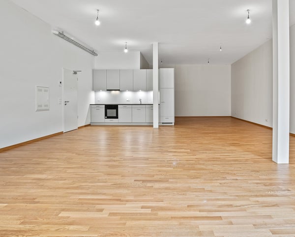 2-Zimmer-Atelier-Neubau-Wohnung Haldenhof St. Gallen 3