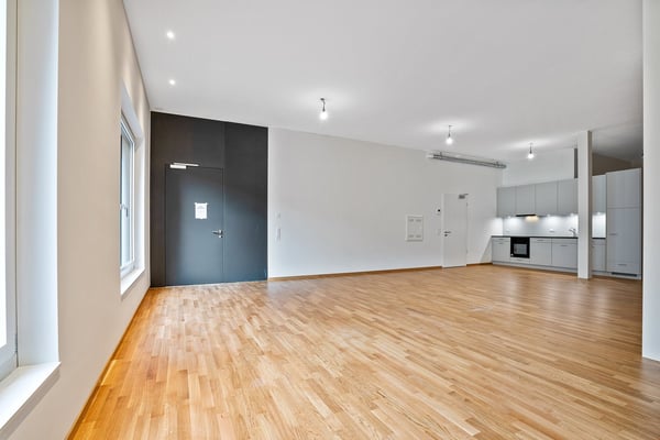 2-Zimmer-Atelier-Neubau-Wohnung Haldenhof St. Gallen 2