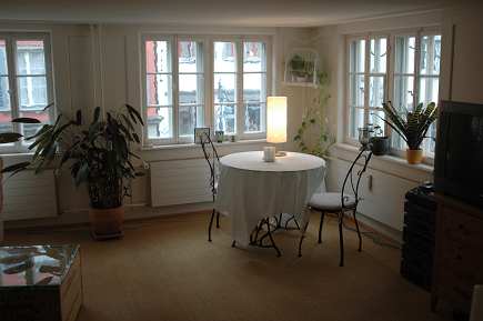 Charmante 1-Zimmer-Altbauwohnung mit Terasse in der Altstadt von St. Gallen 2