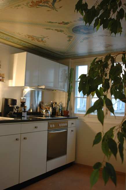 Charmante 1-Zimmer-Altbauwohnung mit Terasse in der Altstadt von St. Gallen 5