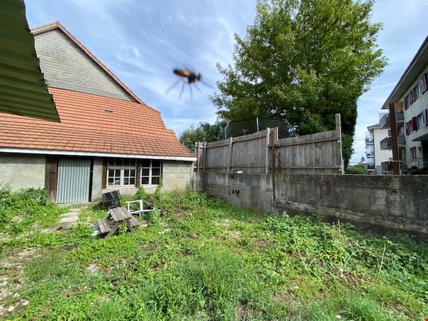 kleines Bauernhaus mit Gewerbe- und Oekonomieteil in Studen zu vermieten 5